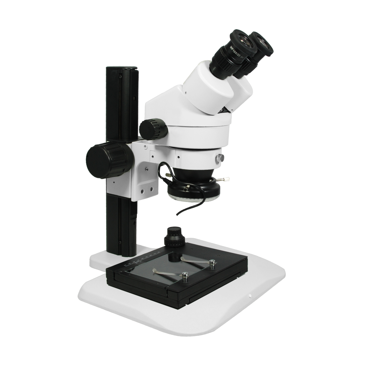 Stereo Microscope